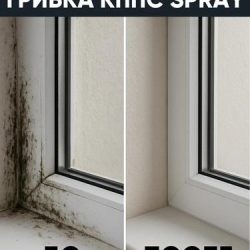 Почему плесень появляется даже в новых квартирах